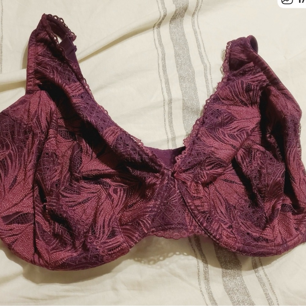 Torrid bralettes bundle .
